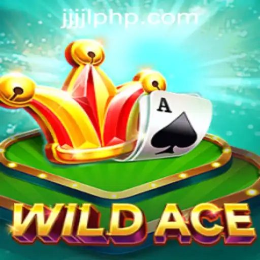Discovering WildAce: A Thrilling New Gaming Experience